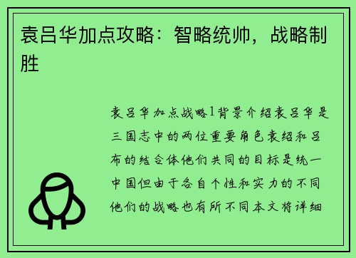 袁吕华加点攻略：智略统帅，战略制胜